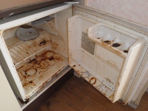 食材が長期間放置された冷蔵庫内の特殊清掃
