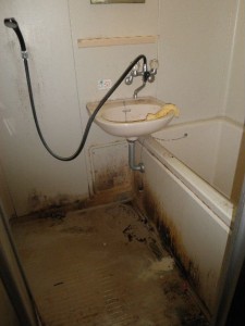 水垢・皮脂・リンス等が付着し強烈な汚れとしてこびり付くゴミ屋敷のバスルーム