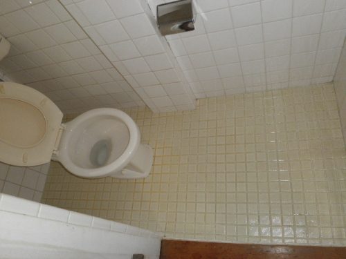 特殊清掃でキレイになるトイレ