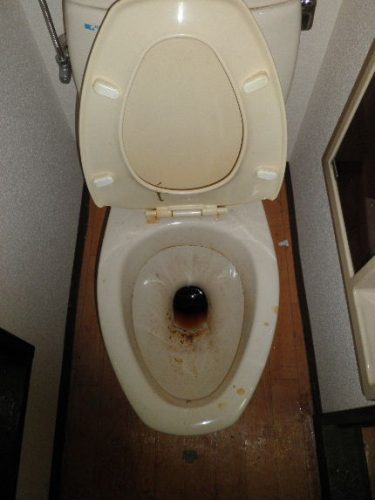 この便器は当然特殊清掃の対象