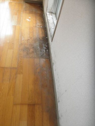 窓から滴る水滴の影響など、床・クロスのカビ汚れが目立つ
