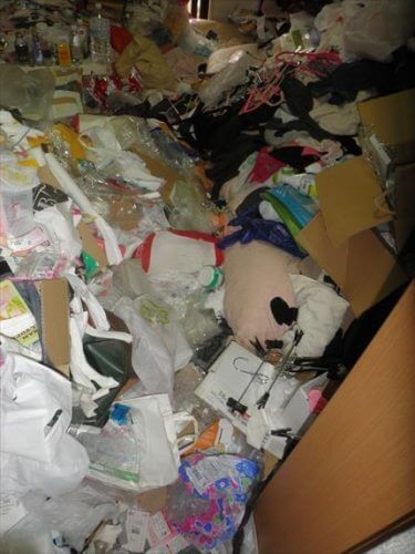 床面に紙類、衣類、飲食物などありとあらゆるものが散乱したゴミ屋敷