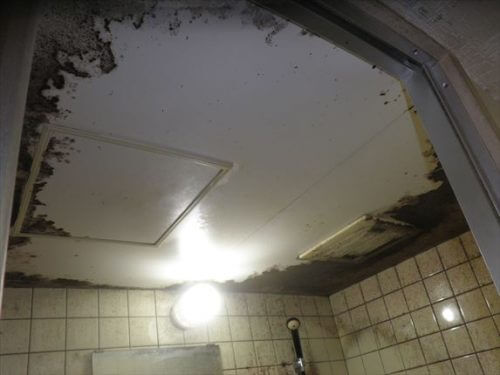 浴室のひどいカビ汚れ　大阪の特殊清掃業者トリプルエス