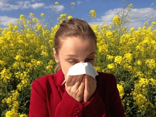 スギやヒノキ花粉でアレルギー症状の酷いゴミ屋敷・汚部屋住人の掃除片付けサービス業者トリプルエス